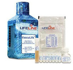 内皮细胞VascuLife VEGF 培养基 